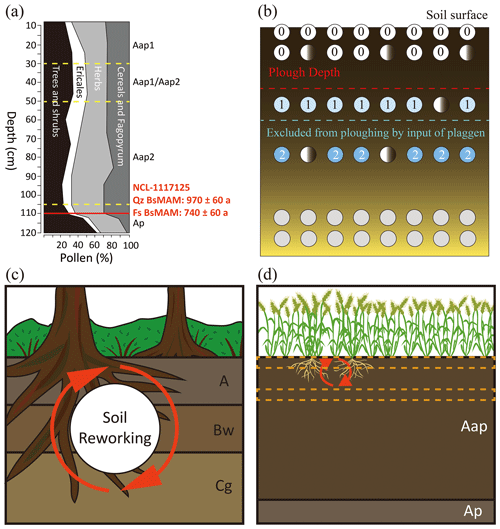 https://soil.copernicus.org/articles/10/567/2024/soil-10-567-2024-f09