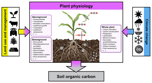https://soil.copernicus.org/articles/11/363/2025/soil-11-363-2025-f01