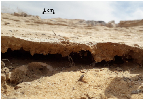 https://soil.copernicus.org/articles/11/395/2025/soil-11-395-2025-f09