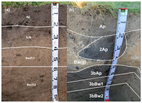 https://soil.copernicus.org/articles/11/583/2025/soil-11-583-2025-f05