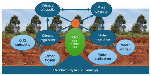https://soil.copernicus.org/articles/11/609/2025/soil-11-609-2025-f02